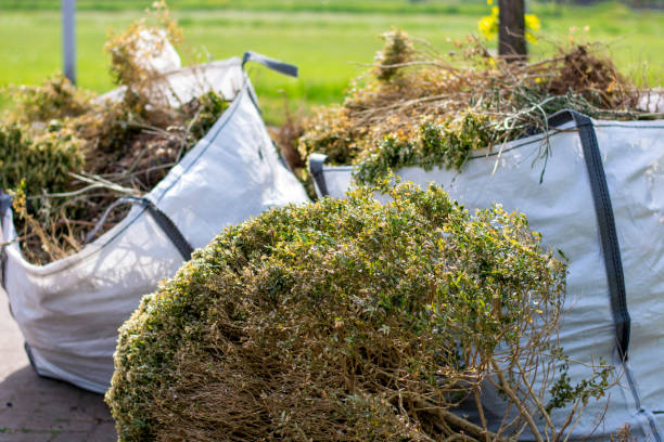 Best Furniture Removal  in Lake City, IA